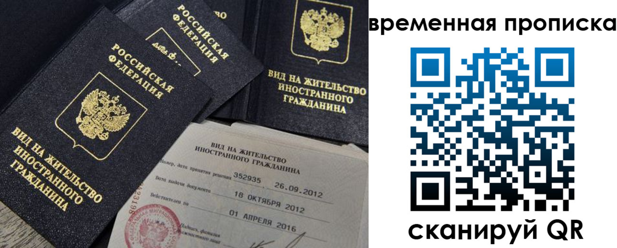 прописка гарантия в Волгодонске